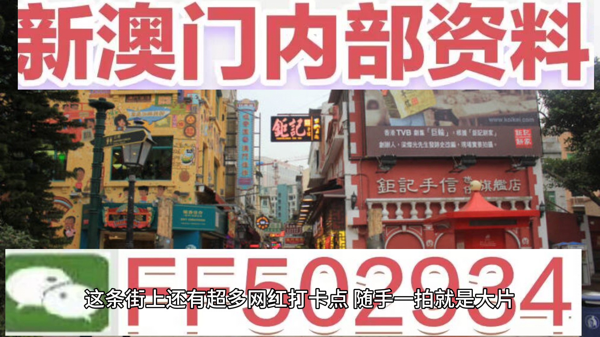 新澳門資料大全正版資料2023年免費(fèi)下載，全面解析與預(yù)測未來趨勢，澳門正版資料解析與未來趨勢預(yù)測，2023年免費(fèi)下載大全