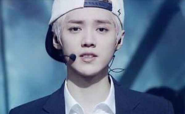 鹿晗資料介紹，音樂才子與影視新星的多面魅力，鹿晗，音樂影視才子，多面魅力閃耀星辰