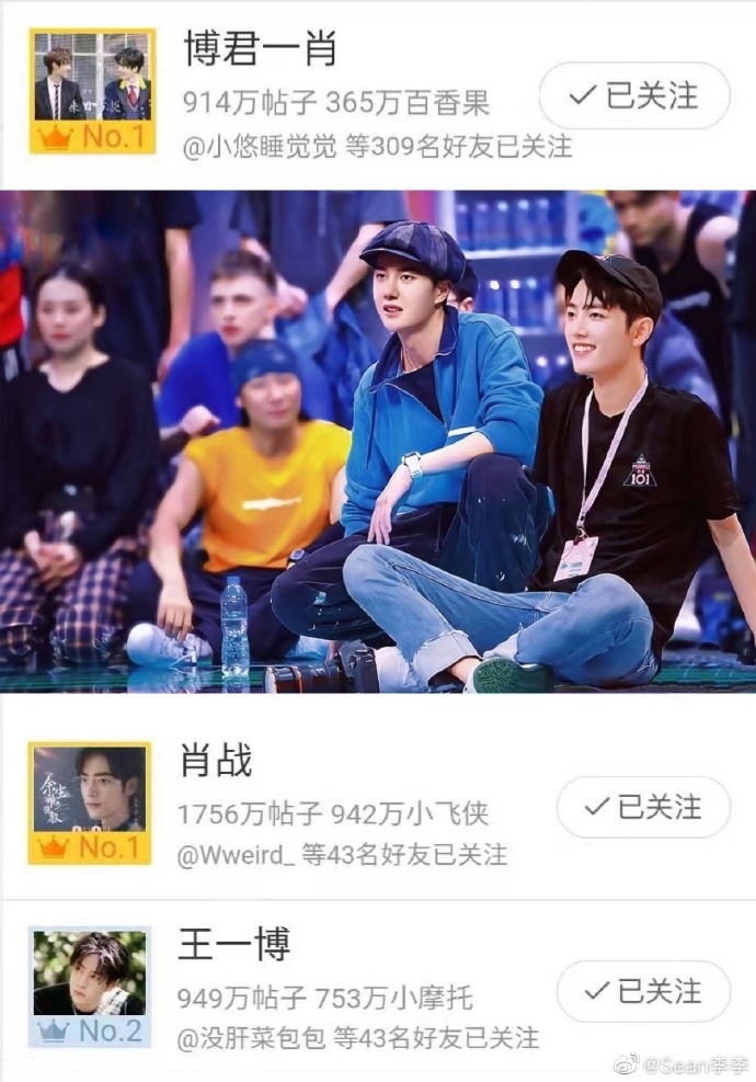 王中王一肖中特資料詳解，王中王一肖中特資料深度解析