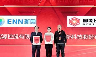 新奧今晚開一肖一特講解詞語，探索生肖與特意的奧秘，新奧生肖夜，揭秘生肖與特意的神秘關(guān)聯(lián)