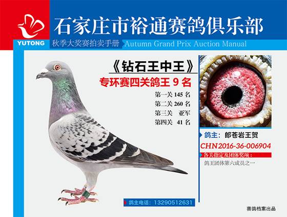 王中王一期一肖特中獎(jiǎng)，揭秘彩票背后的秘密與策略，揭秘彩票背后的秘密與策略，王中王一期一肖特中獎(jiǎng)解析