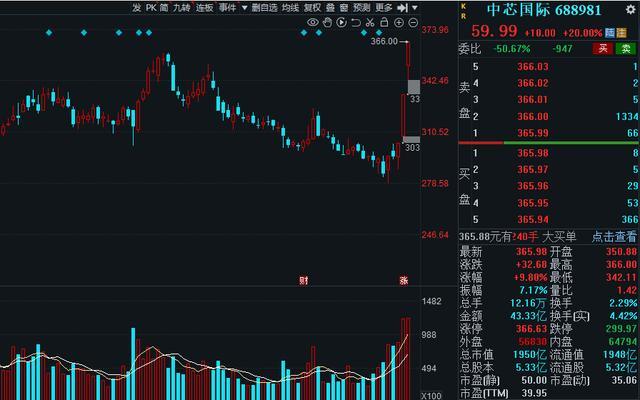 半導(dǎo)體龍頭股票，市場趨勢與投資前景分析，半導(dǎo)體龍頭股票投資前景及市場趨勢深度解析