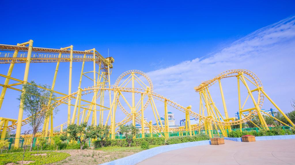 茂密森林中的王中王——探尋一肖的神秘魅力，森林霸主一肖的神秘魅力探索