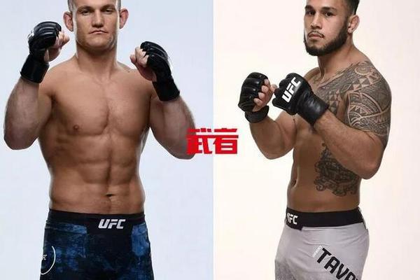 澳門六開獎結(jié)果記錄圖，探索彩票背后的秘密，澳門六開獎結(jié)果記錄圖揭秘彩票背后的秘密