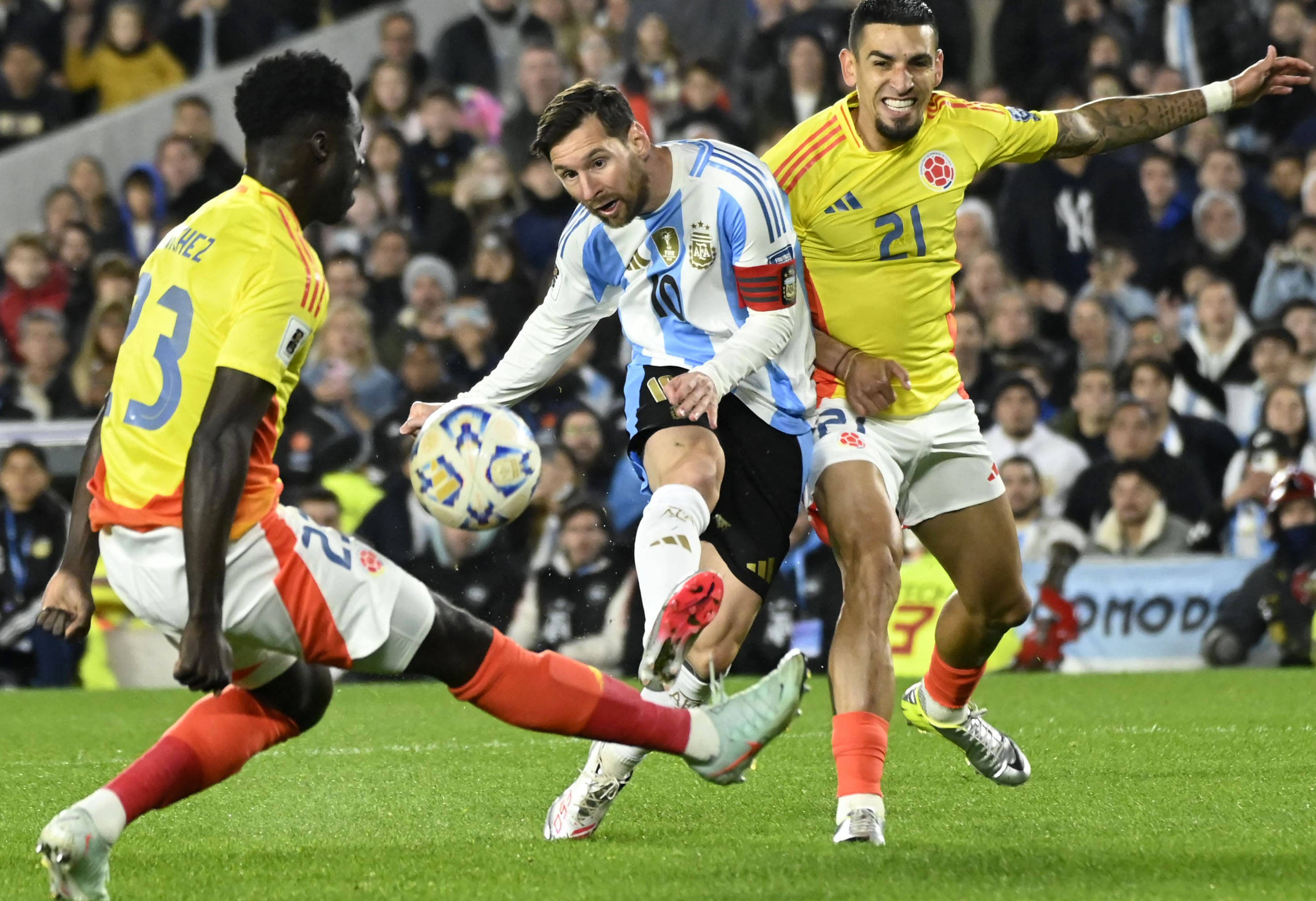 王中王一肖一特一，探尋獨特魅力與卓越成就，探尋王中王一肖的獨特魅力與卓越成就