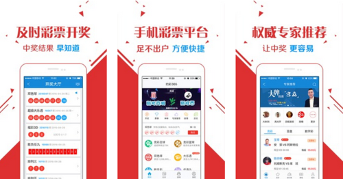 王中王玄機(jī)一肖資料解析與SEO優(yōu)化探討，王中王玄機(jī)生肖資料解析與SEO策略優(yōu)化探討